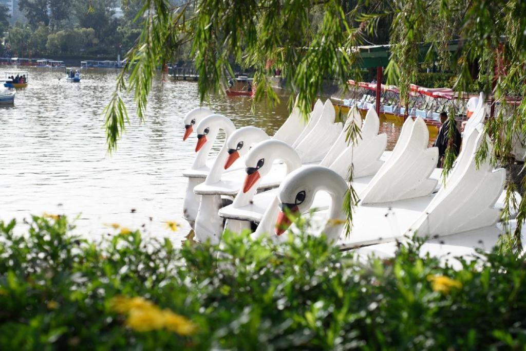 The Plaza Lodge Baguio Baguio City Buitenkant foto